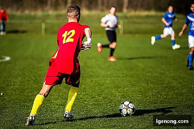 关于bevictor伟德